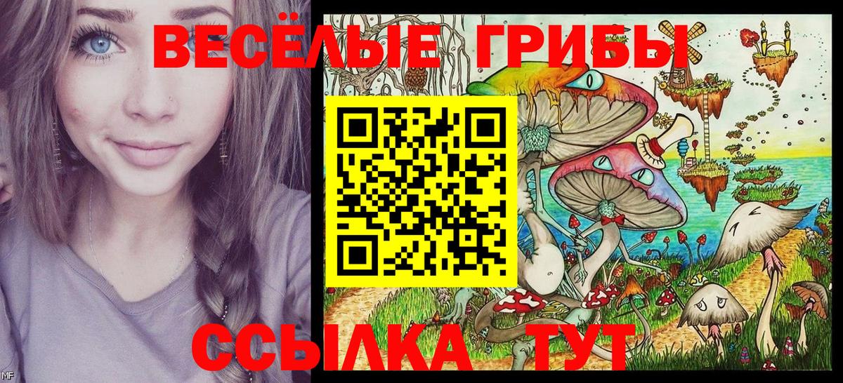Воткинск  Галлюциногенные грибы мухоморы  Вход с VPN 